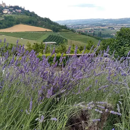 Solestelle