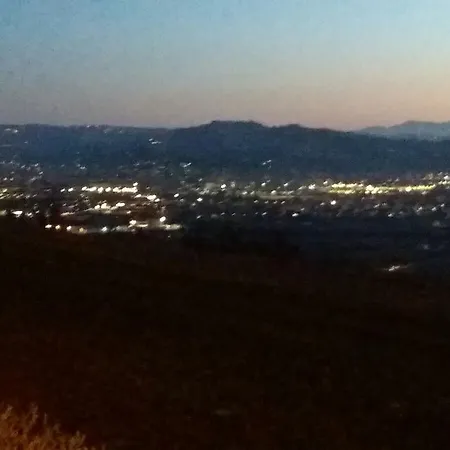 Solestelle 瓜热讷