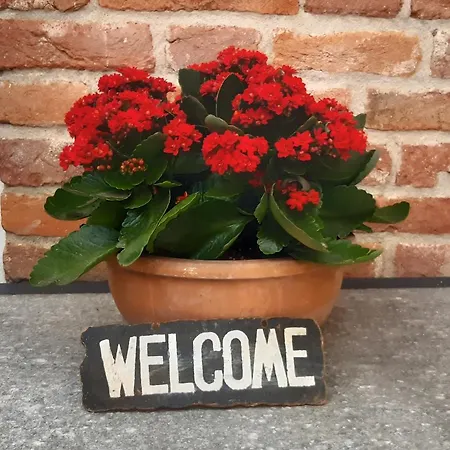Penzion Solestelle